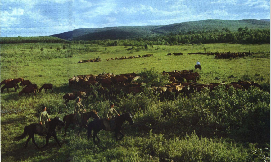 1684893936904_極光看圖.png 1684893936904_極光看圖.png