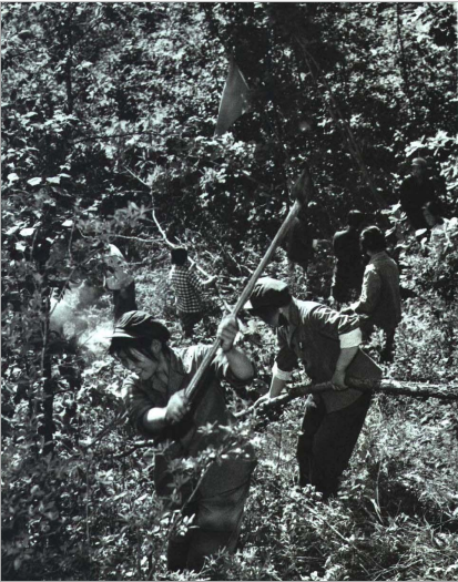 開辟放牧點(diǎn)_極光看圖.png 開辟放牧點(diǎn)_極光看圖.png