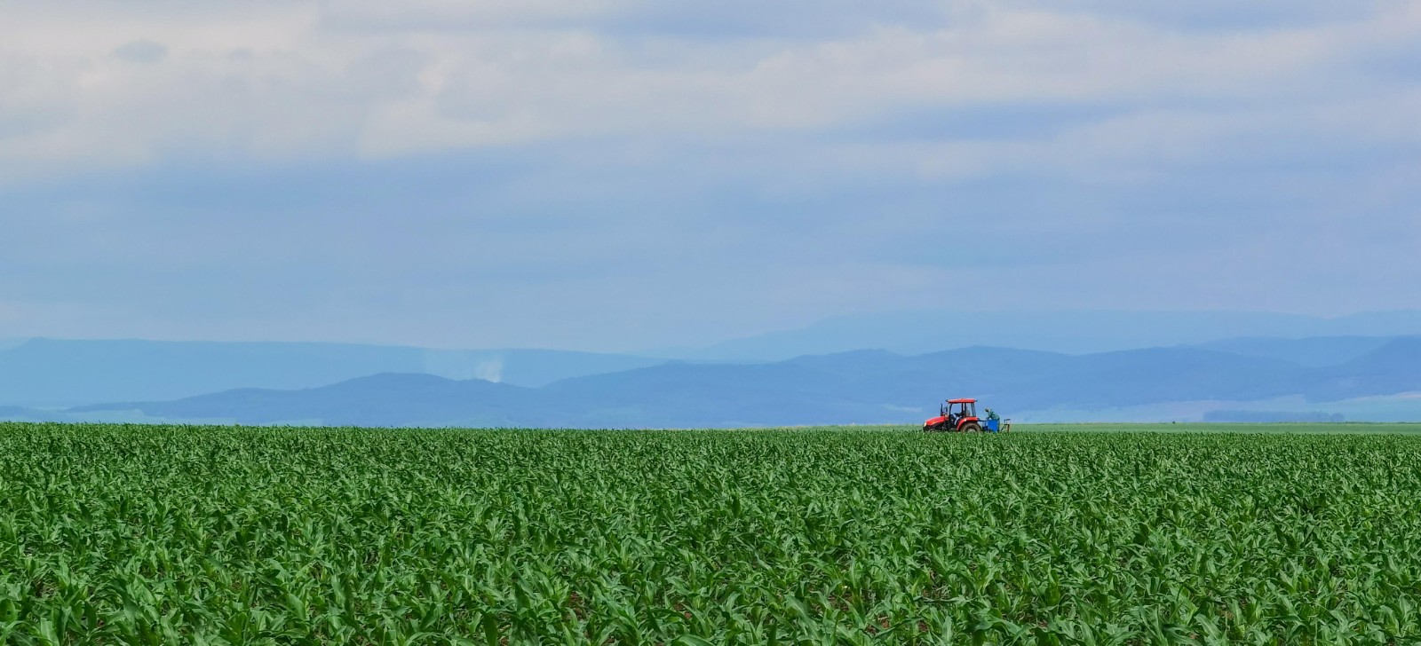 農(nóng)業(yè)生產(chǎn)_極光看圖.jpg 農(nóng)業(yè)生產(chǎn)_極光看圖.jpg