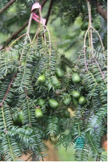 1_1_扎根大地 逐浪青春在實(shí)踐中淬煉青春的海洋青年1437.png