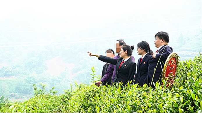 茶香馥郁 法韻情濃496.png