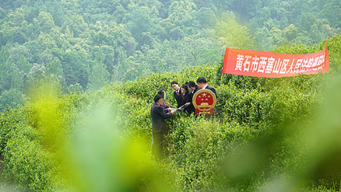 茶香馥郁 法韻情濃220.png