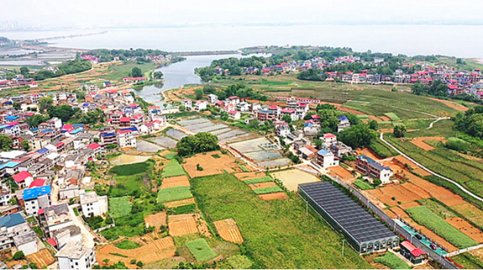 走進(jìn)大王鎮(zhèn) 舌尖品“椿”韻166.png