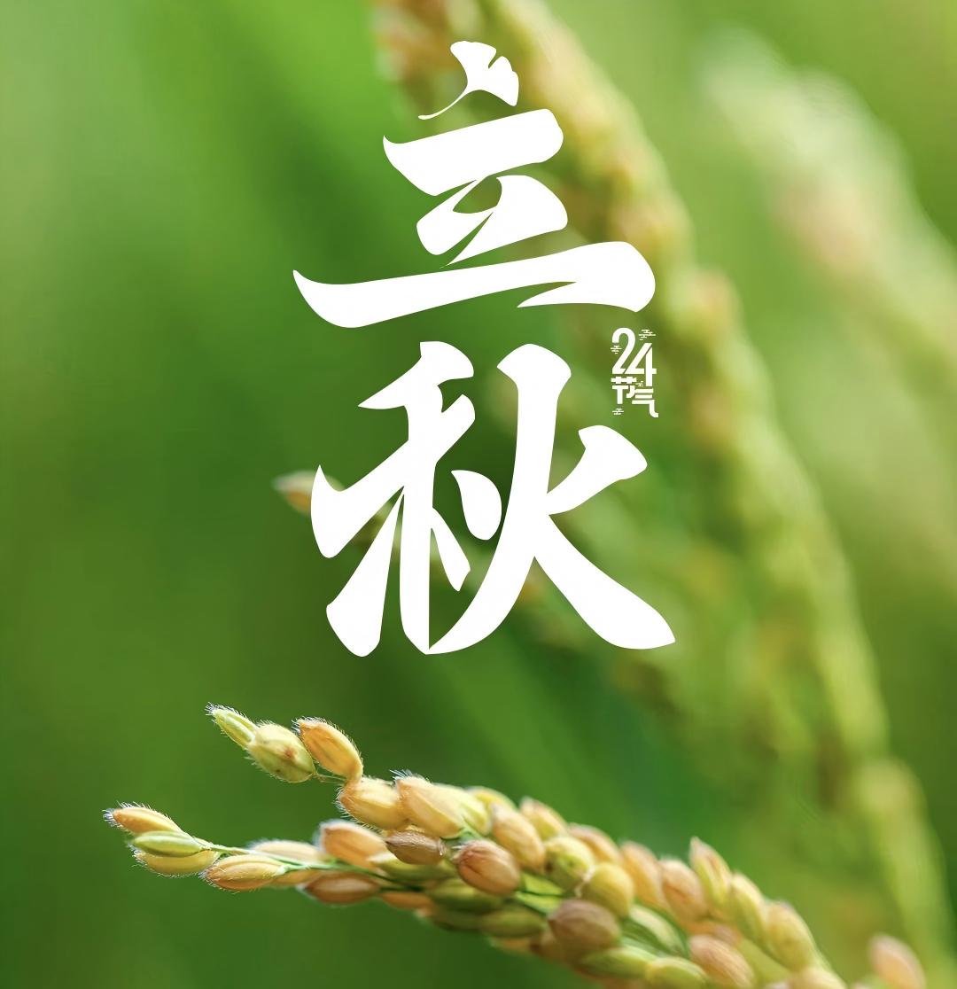 微信圖片_2025-08-07_072125_924(1)