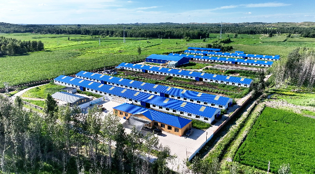 庫倫鎮(zhèn)三家子嘎查黃牛養(yǎng)殖基地俯瞰圖。布仁攝