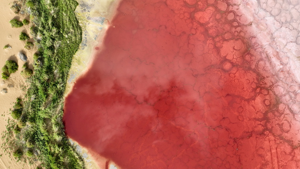 2024年7月30日在內(nèi)蒙古阿拉善盟阿拉善右旗拍攝的巴丹吉林沙漠中的紅海子（無人機照片）。新華社記者 貝赫 攝