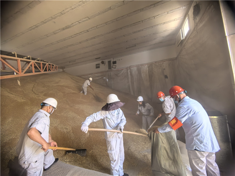 中儲糧安徽分公司全力抓好夏糧收購。