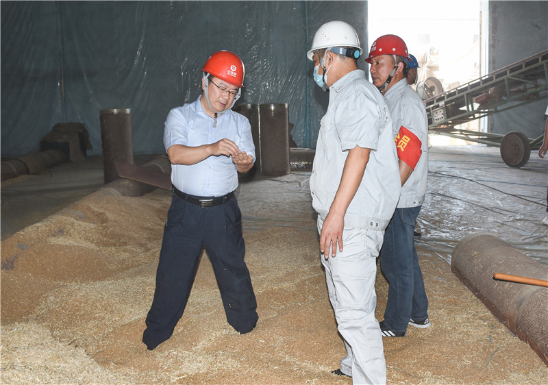 中儲糧安徽分公司全力抓好夏糧收購。