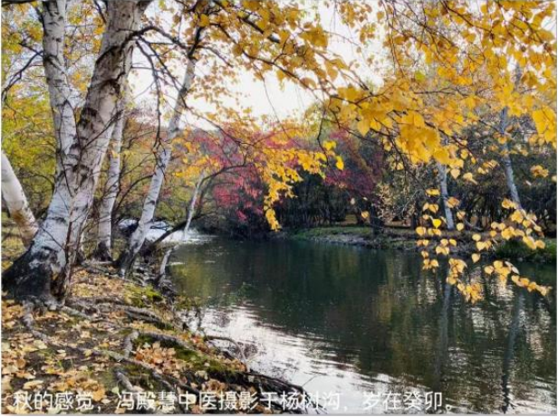 (已瘦身)《卓爾不凡 筆墨酣暢》新時代影響力藝術(shù)家——馮殿慧898.png