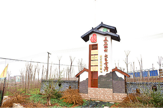 黃石大王鎮(zhèn)貴灣村:雨潤(rùn)荷池白鷺歸 碩果盈枝幸福來(lái)740.png