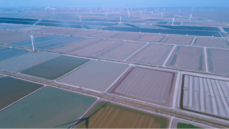 灌東鹽場:向海向綠向新行 實干擔(dān)當(dāng)啟新程1.0(1)748.png